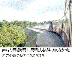 歩くより目線が高く、見晴らし抜群。知らなかった浜寺公園の魅力にふられている