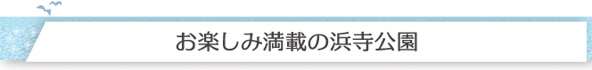 お楽しみ満載の浜寺公園