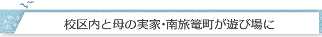 校区内と母の実家･南旅篭町が遊び場に