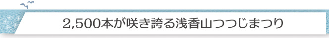 2,500本が咲き誇る浅香山つつじまつり