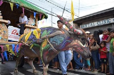 フィリピンの水牛祭りの写真