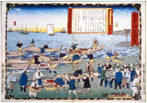 大日本物産図会　和泉国堺浦桜鯛并魚市之図