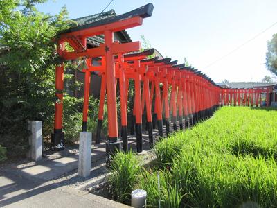 まちなみ賞　天高稲荷神社の鳥居1