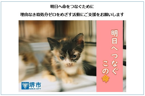明日へ命をつなぐために 理由なき殺処分ゼロをめざす活動にご支援をお願いします