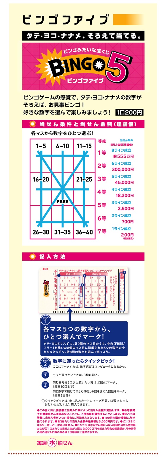 ビンゴ5の画像