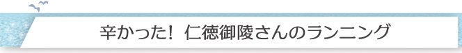 辛かった!仁徳御陵さんのランニング