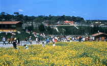 堺・緑のミュージアム　ハーベストの丘の写真2