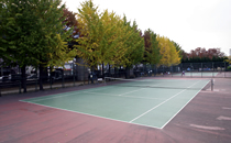 土居川公園テニスコートの写真