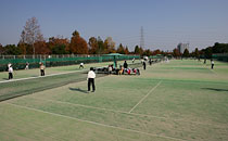 金岡公園テニスコートの写真