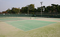 大浜公園テニスコートの写真