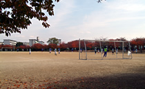 白鷺公園運動広場の写真