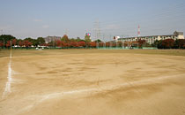 金岡公園野球場の写真
