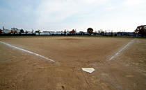 白鷺公園野球場の写真
